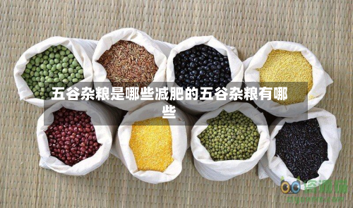 五谷杂粮是哪些减肥的五谷杂粮有哪些