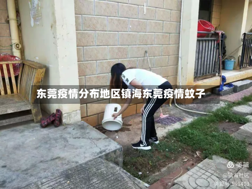 东莞疫情分布地区镇海东莞疫情蚊子