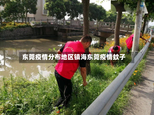 东莞疫情分布地区镇海东莞疫情蚊子